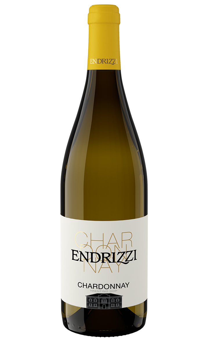 Chardonnay - Trentino D.O.P. - Endrizzi