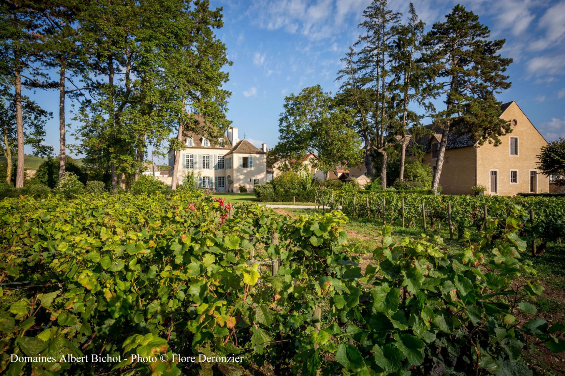 Domaine du Pavillon
